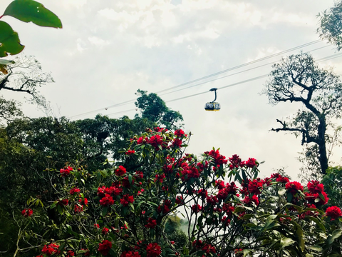 Điểm chơi lý tưởng nào cho dịp 8-3? - Ảnh 5. Điểm chơi lý tưởng nào cho dịp 8-3? - Ảnh 5.