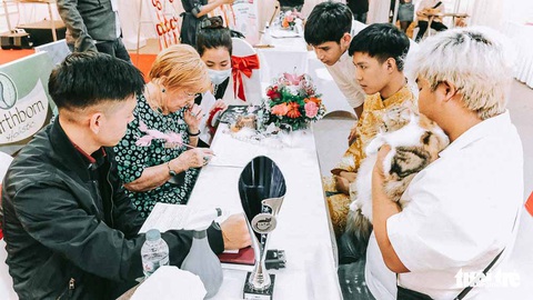 Cuộc thi sắc đẹp của những bé mèo đẹp nhất - Ảnh 7. Cuộc thi sắc đẹp của những bé mèo đẹp nhất - Ảnh 7.