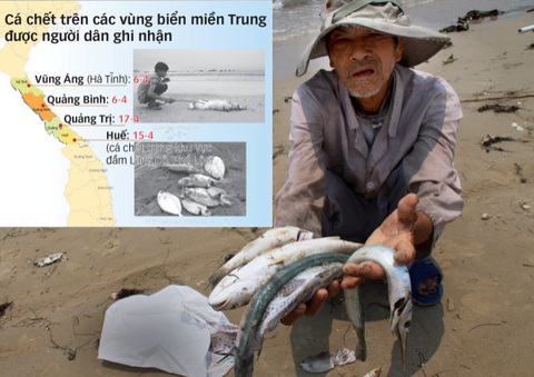 Dự thảo Luật bảo vệ môi trường có... xa dân? - Ảnh 2. Dự thảo Luật bảo vệ môi trường có... xa dân? - Ảnh 2.