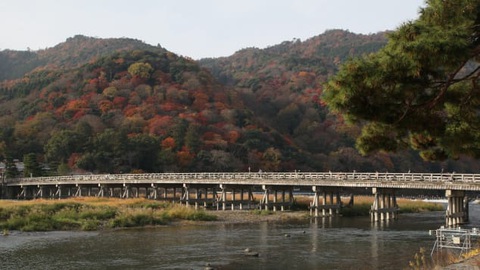 Vượt COVID-19, Kyoto kích cầu bằng chiến dịch du lịch vắng - Ảnh 3. Vượt COVID-19, Kyoto kích cầu bằng chiến dịch du lịch vắng - Ảnh 3.