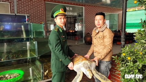 Chủ nhà hàng hải sản mua rùa quý nặng 30kg đem thả về biển - Ảnh 3. Chủ nhà hàng hải sản mua rùa quý nặng 30kg đem thả về biển - Ảnh 3.