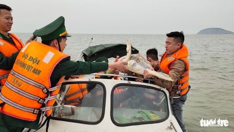 Chủ nhà hàng hải sản mua rùa quý nặng 30kg đem thả về biển - Ảnh 5. Chủ nhà hàng hải sản mua rùa quý nặng 30kg đem thả về biển - Ảnh 5.