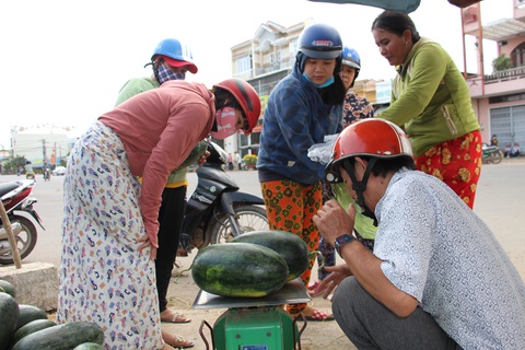 Hàng trăm tấn dưa hấu của nông dân ùn ứ vì dịch corona, thương lái trả giá 1.000 đồng/kg - Ảnh 3. Hàng trăm tấn dưa hấu của nông dân ùn ứ vì dịch corona, thương lái trả giá 1.000 đồng/kg - Ảnh 3.