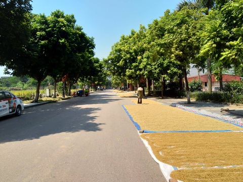 Hà Nội giảm thêm 2.519 thôn, tổ dân phố - Ảnh 1. Hà Nội giảm thêm 2.519 thôn, tổ dân phố - Ảnh 1.