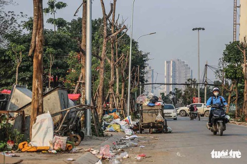 Hàng trăm cây sấu chết khô thảm thương trên đường mới mở ở Hà Nội - Ảnh 8. Hàng trăm cây sấu chết khô thảm thương trên đường mới mở ở Hà Nội - Ảnh 8.