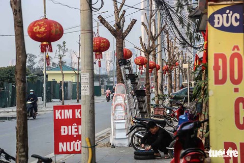 Hàng trăm cây sấu chết khô thảm thương trên đường mới mở ở Hà Nội - Ảnh 7. Hàng trăm cây sấu chết khô thảm thương trên đường mới mở ở Hà Nội - Ảnh 7.
