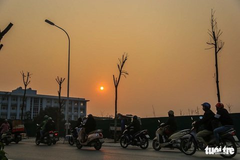 Hàng trăm cây sấu chết khô thảm thương trên đường mới mở ở Hà Nội - Ảnh 5. Hàng trăm cây sấu chết khô thảm thương trên đường mới mở ở Hà Nội - Ảnh 5.