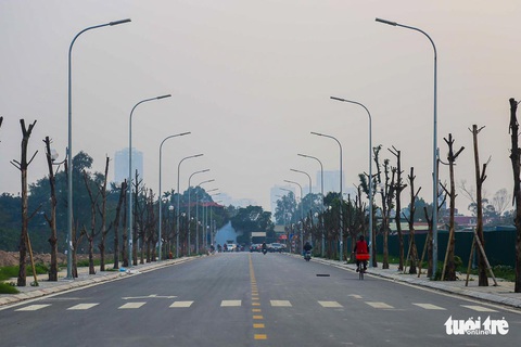 Hàng trăm cây sấu chết khô thảm thương trên đường mới mở ở Hà Nội - Ảnh 1. Hàng trăm cây sấu chết khô thảm thương trên đường mới mở ở Hà Nội - Ảnh 1.
