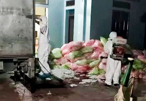 Mang 620kg khẩu trang đã qua sử dụng ở Vĩnh Phúc về Hà Nội - Ảnh 1. Mang 620kg khẩu trang đã qua sử dụng ở Vĩnh Phúc về Hà Nội - Ảnh 1.