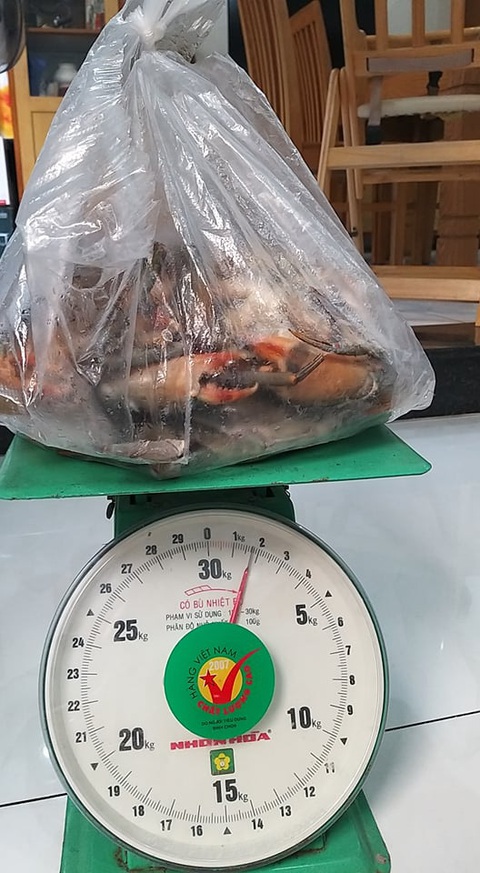 Xài 1,5kg dây bự chảng để trói… 6 con cua bé bé - Ảnh 4. Xài 1,5kg dây bự chảng để trói… 6 con cua bé bé - Ảnh 4.