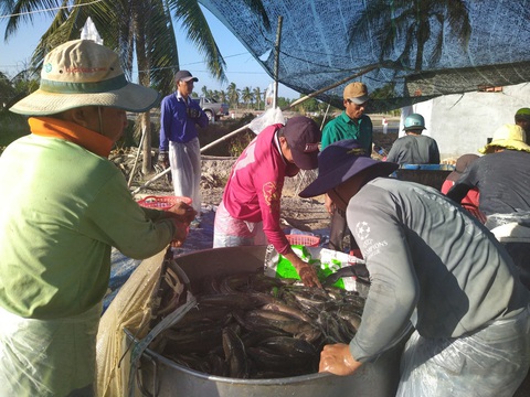 Qua miền khô hạn - Kỳ cuối: Thoát hiểm cho ruộng đồng - Ảnh 1. Qua miền khô hạn - Kỳ cuối: Thoát hiểm cho ruộng đồng - Ảnh 1.