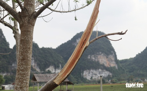 Mỏ đá nổ mìn, đá rơi ‘như mưa’ vào nhà dân - Ảnh 9. Mỏ đá nổ mìn, đá rơi ‘như mưa’ vào nhà dân - Ảnh 9.