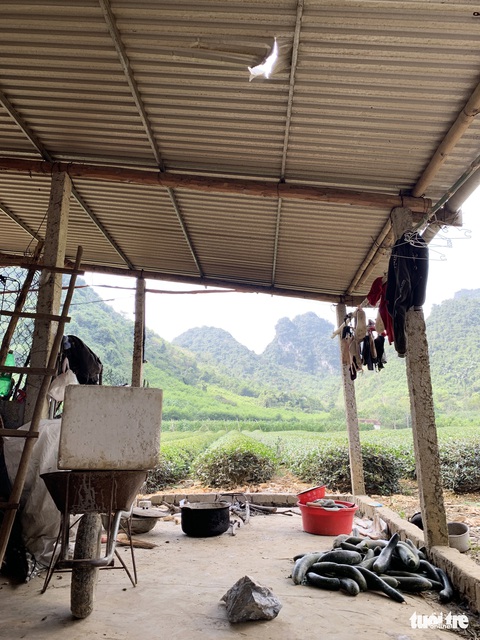 Mỏ đá nổ mìn, đá rơi ‘như mưa’ vào nhà dân - Ảnh 4. Mỏ đá nổ mìn, đá rơi ‘như mưa’ vào nhà dân - Ảnh 4.
