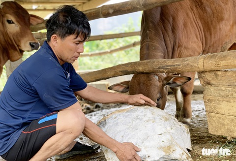 Mỏ đá nổ mìn, đá rơi ‘như mưa’ vào nhà dân - Ảnh 2. Mỏ đá nổ mìn, đá rơi ‘như mưa’ vào nhà dân - Ảnh 2.