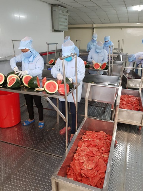 Bún dưa hấu và bánh tráng thanh long giải cứu nông sản thời dịch COVID-19 - Ảnh 2. Bún dưa hấu và bánh tráng thanh long giải cứu nông sản thời dịch COVID-19 - Ảnh 2.