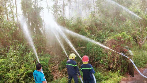 Nguy cơ cháy rừng ở Vườn quốc gia U Minh Hạ rất lớn - Ảnh 3. Nguy cơ cháy rừng ở Vườn quốc gia U Minh Hạ rất lớn - Ảnh 3.