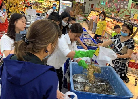 Giải cứu tôm hùm: Người mua tôm hùm xanh coi chừng bị cắt cổ - Ảnh 1. Giải cứu tôm hùm: Người mua tôm hùm xanh coi chừng bị cắt cổ - Ảnh 1.