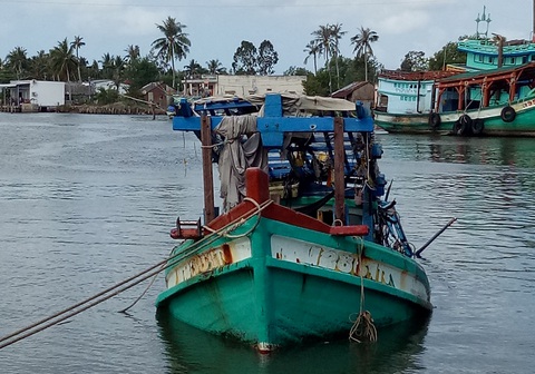 Ba ngư dân thiệt mạng trong hầm tàu câu mực - Ảnh 1. Ba ngư dân thiệt mạng trong hầm tàu câu mực - Ảnh 1.