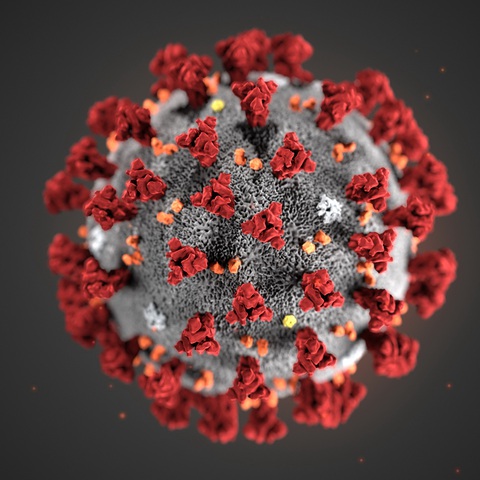 phan lap virus phan lap virus