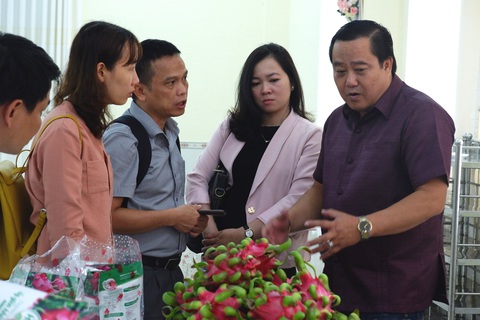 TP.HCM mai mối các chuỗi siêu thị thu mua thanh long miền Tây - Ảnh 1. TP.HCM mai mối các chuỗi siêu thị thu mua thanh long miền Tây - Ảnh 1.
