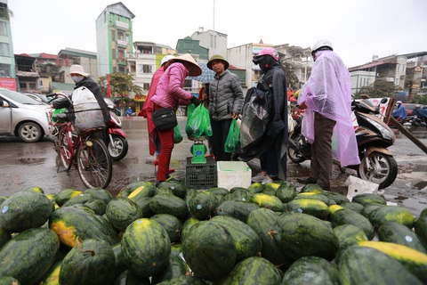 Người Hà Nội mua giải cứu dưa hấu không thể xuất sang Trung Quốc - Ảnh 1. Người Hà Nội mua giải cứu dưa hấu không thể xuất sang Trung Quốc - Ảnh 1.