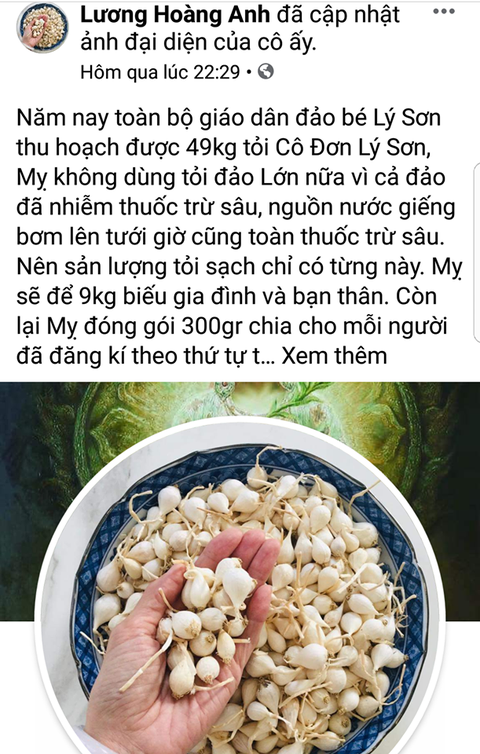 Facebook Lương Hoàng Anh bị lên án vì tung tin tỏi Lý Sơn nhiễm thuốc trừ sâu - Ảnh 1. Facebook Lương Hoàng Anh bị lên án vì tung tin tỏi Lý Sơn nhiễm thuốc trừ sâu - Ảnh 1.