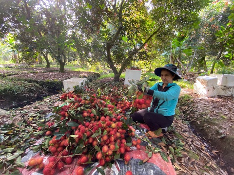 Nhiều nước hỗ trợ doanh nghiệp, Việt Nam cũng cần có? - Ảnh 1. Nhiều nước hỗ trợ doanh nghiệp, Việt Nam cũng cần có? - Ảnh 1.