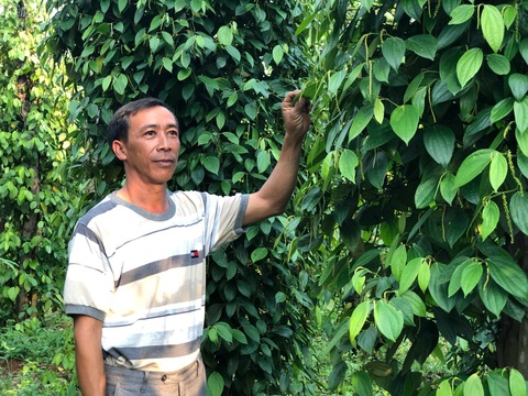 Olam - chuyên gia về các loại hạt - Ảnh 3. Olam - chuyên gia về các loại hạt - Ảnh 3.