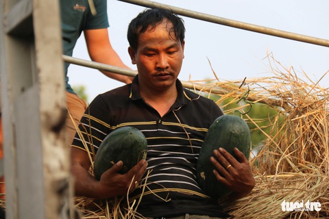 Người Sài Gòn xếp hàng ‘giải cứu’ dưa hấu, có người mua cả tấn làm từ thiện - Ảnh 7. Người Sài Gòn xếp hàng ‘giải cứu’ dưa hấu, có người mua cả tấn làm từ thiện - Ảnh 7.