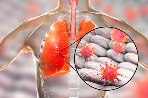 Có thể tăng cường miễn dịch bằng tế bào gốc tự thân? - Ảnh 1. Có thể tăng cường miễn dịch bằng tế bào gốc tự thân? - Ảnh 1.