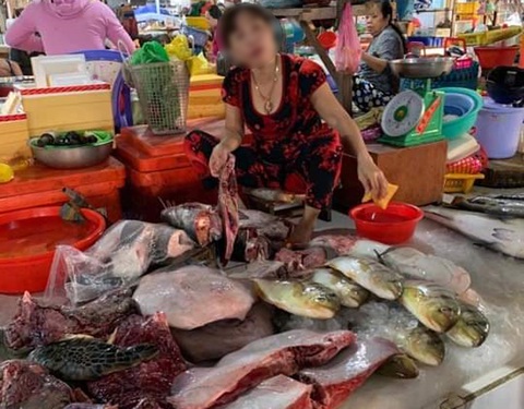 Rùa biển quý hiếm bị xẻ thịt bán ở chợ Hà Tiên? - Ảnh 1. Rùa biển quý hiếm bị xẻ thịt bán ở chợ Hà Tiên? - Ảnh 1.