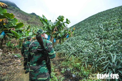 Mưa gió rét buốt, bộ đội căng lều dã chiến trực chiến corona - Ảnh 1. Mưa gió rét buốt, bộ đội căng lều dã chiến trực chiến corona - Ảnh 1.