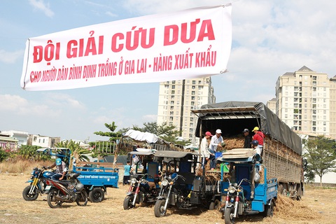 Cộng đồng ra tay giải cứu nông sản mùa dịch virus corona - Ảnh 1. Cộng đồng ra tay giải cứu nông sản mùa dịch virus corona - Ảnh 1.