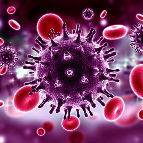 Cuộc trường chinh tìm văcxin cứu người - Kỳ 3: 36 năm chưa tìm ra văcxin HIV - Ảnh 2. Cuộc trường chinh tìm văcxin cứu người - Kỳ 3: 36 năm chưa tìm ra văcxin HIV - Ảnh 2.