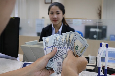 USD cũng lao dốc theo giá vàng, vì sao? - Ảnh 1. USD cũng lao dốc theo giá vàng, vì sao? - Ảnh 1.