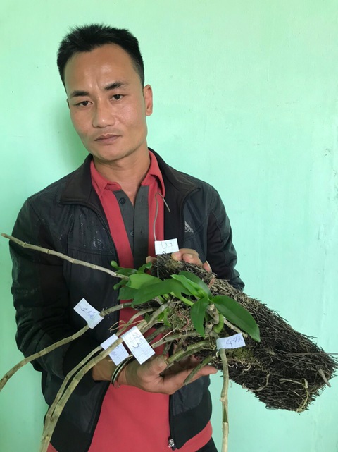 Bắt nhóm nghiện ma túy trộm vườn lan trị giá 4 tỉ đồng - Ảnh 2. Bắt nhóm nghiện ma túy trộm vườn lan trị giá 4 tỉ đồng - Ảnh 2.