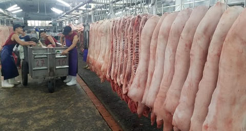 Nếu giá thịt heo trong nước không giảm, sẽ nhập heo Mỹ, Brazil, Lào, Campuchia... - Ảnh 1. Nếu giá thịt heo trong nước không giảm, sẽ nhập heo Mỹ, Brazil, Lào, Campuchia... - Ảnh 1.