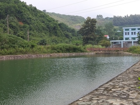 Kiến nghị Thủ tướng chỉ đạo Nhà máy Sông Đà sớm chặn nguy cơ nước nhiễm bẩn - Ảnh 1. Kiến nghị Thủ tướng chỉ đạo Nhà máy Sông Đà sớm chặn nguy cơ nước nhiễm bẩn - Ảnh 1.