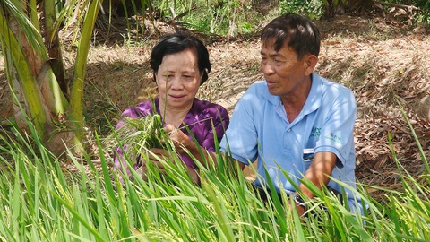 Con cái hòa thuận, cha mẹ ngủ rất ngon - Ảnh 1. Con cái hòa thuận, cha mẹ ngủ rất ngon - Ảnh 1.