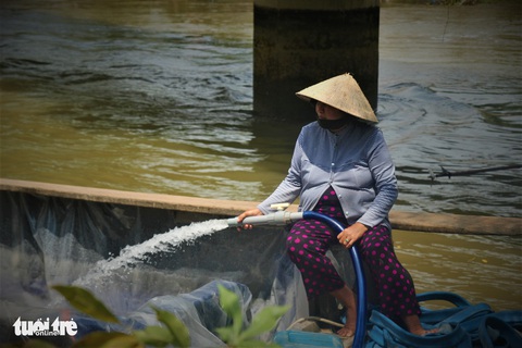 Phát phiếu chia nước ngọt cho bà con nhà vườn cứu sầu riêng - Ảnh 5. Phát phiếu chia nước ngọt cho bà con nhà vườn cứu sầu riêng - Ảnh 5.