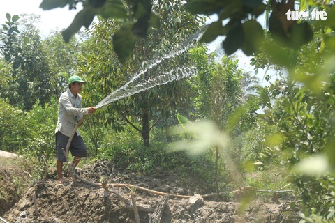 Phát phiếu chia nước ngọt cho bà con nhà vườn cứu sầu riêng - Ảnh 9. Phát phiếu chia nước ngọt cho bà con nhà vườn cứu sầu riêng - Ảnh 9.