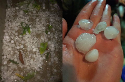 Mưa đá to bằng quả trứng trút xuống Lào Cai, Lai Châu - Ảnh 4. Mưa đá to bằng quả trứng trút xuống Lào Cai, Lai Châu - Ảnh 4.