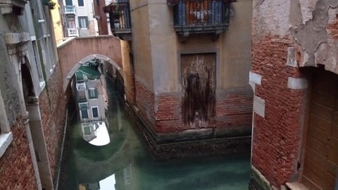Nước kênh trong vắt, không khí sạch hơn ở Venice sau lệnh phong toả vì COVID-19 - Ảnh 5. Nước kênh trong vắt, không khí sạch hơn ở Venice sau lệnh phong toả vì COVID-19 - Ảnh 5.