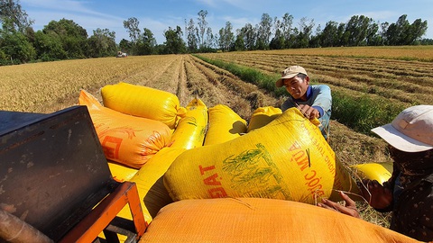 Việt Nam giữ sản lượng 22 triệu tấn gạo - Ảnh 1. Việt Nam giữ sản lượng 22 triệu tấn gạo - Ảnh 1.