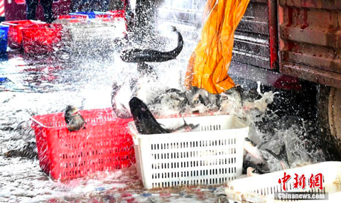 Bộ ảnh Vũ Hán và lời hẹn ước ngắm hoa anh đào - Ảnh 7. Bộ ảnh Vũ Hán và lời hẹn ước ngắm hoa anh đào - Ảnh 7.
