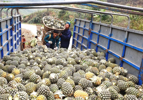 Vành đai bền vững ở Bản Lầu - Ảnh 1. Vành đai bền vững ở Bản Lầu - Ảnh 1.