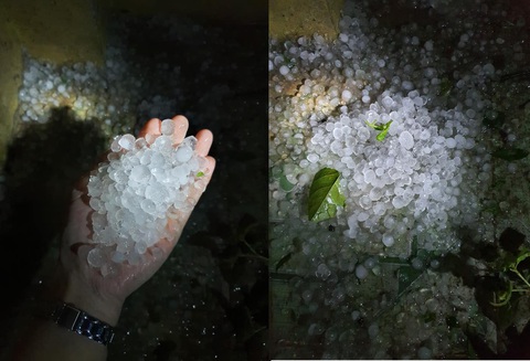 Mưa đá, giông lốc dữ dội ở Yên Bái, ôtô bị cột điện, cây xanh đè bẹp - Ảnh 2. Mưa đá, giông lốc dữ dội ở Yên Bái, ôtô bị cột điện, cây xanh đè bẹp - Ảnh 2.