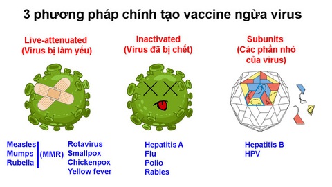 Cuộc chạy đua tạo văcxin chống COVID-19 - Ảnh 4. Cuộc chạy đua tạo văcxin chống COVID-19 - Ảnh 4.