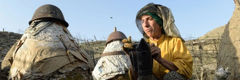 Honeyland - Phim tài liệu kỳ tích chưa từng có trong lịch sử Oscar - Ảnh 4. Honeyland - Phim tài liệu kỳ tích chưa từng có trong lịch sử Oscar - Ảnh 4.