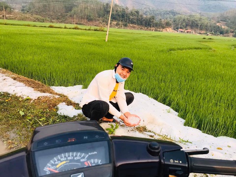 Mưa đá dày đặc, phủ trắng bờ ruộng lúa tại Điện Biên - Ảnh 3. Mưa đá dày đặc, phủ trắng bờ ruộng lúa tại Điện Biên - Ảnh 3.